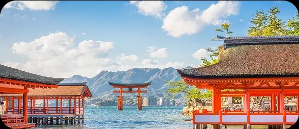 長者優惠｜HK Express長者2折機票優惠！飛日本/韓國/台灣/越南等12大熱門航點！