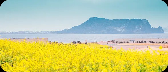 HK Express長者機票2折優惠！12大指定航點日韓台都有份 