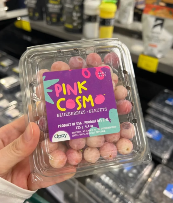 照片來源：小紅書@自然而然的然