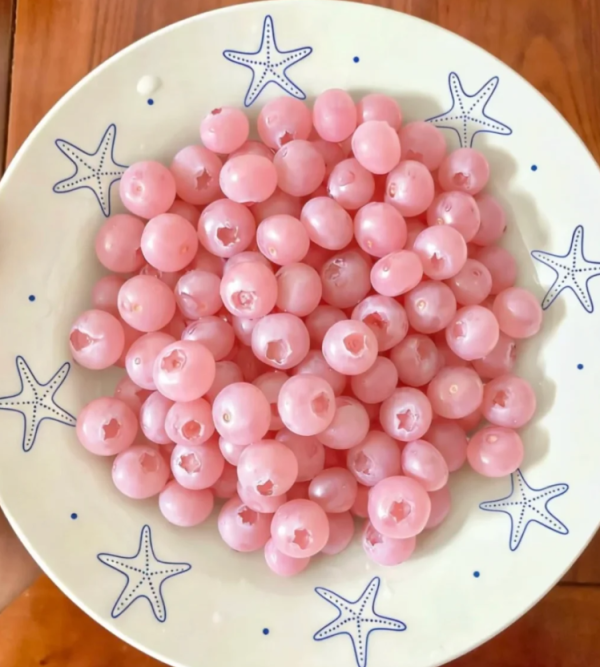 照片來源：小紅書@自然而然的然