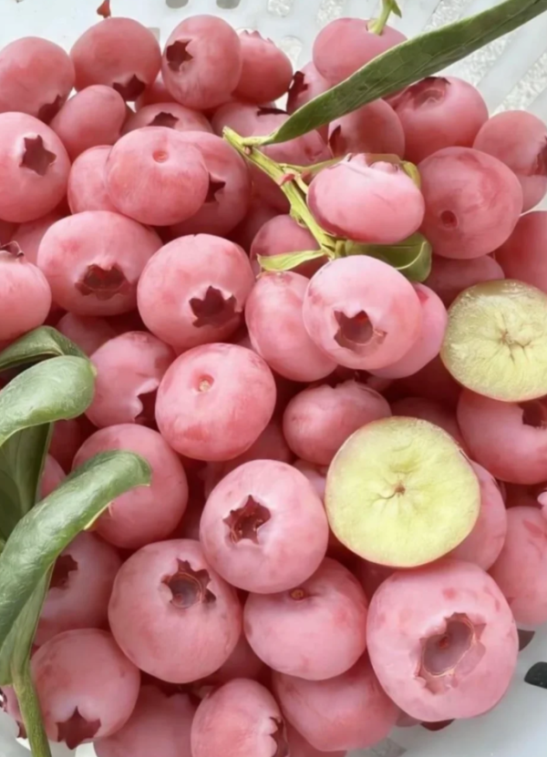 照片來源：小紅書@自然而然的然