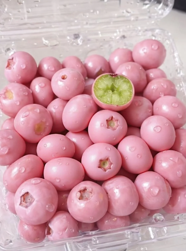 照片來源：小紅書@朴小荷在韩国