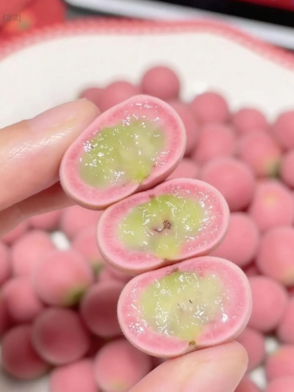 照片來源：小紅書@朴小荷在韩国