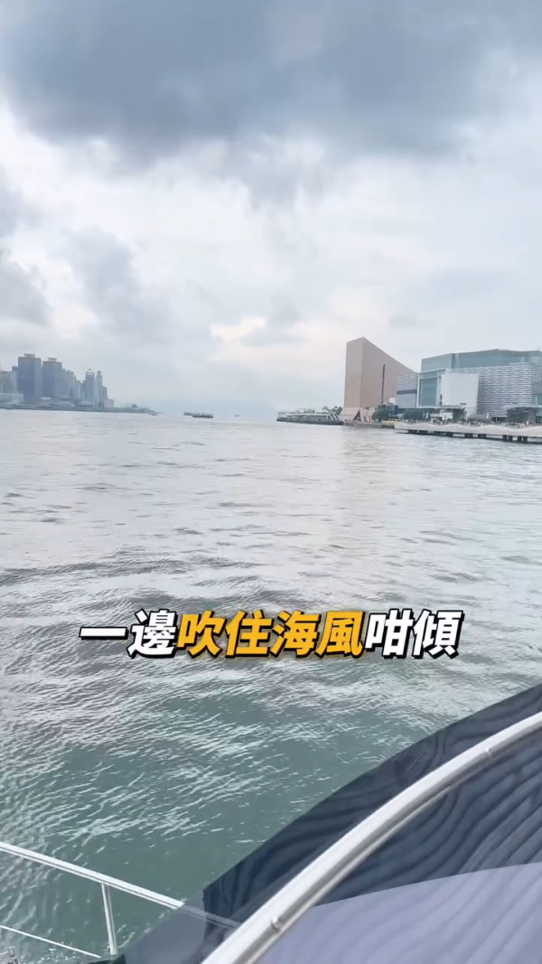 麥明詩叔仔猛料背景曝光！升呢做博愛醫院總理 會考19分逆襲轉戰保險發達