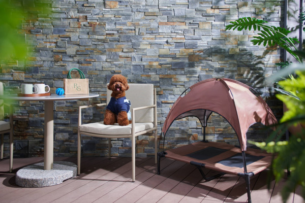 【免費親子Staycation】入住全新五星級酒店！親子主題客房／兒童天地／專屬遊戲區