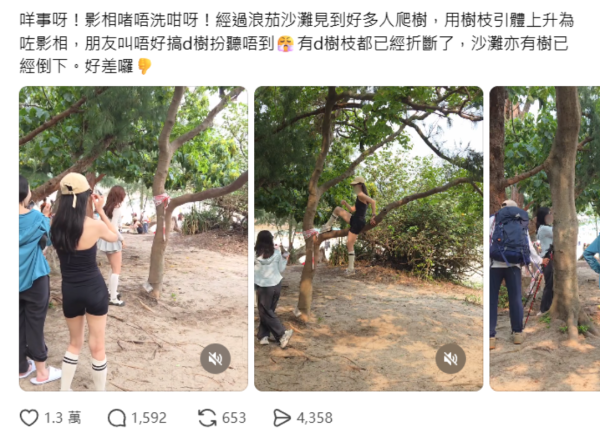 遊客來港「抱樹打卡」熱褲女闖西貢浪茄攀爬惹怒網民 觸犯1法例恐罰2.5萬兼坐監
