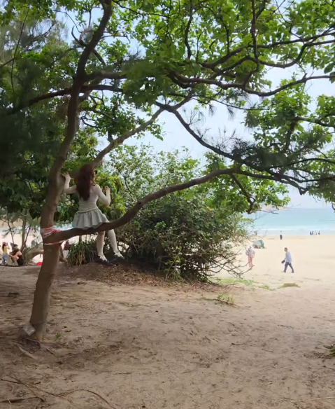 街頭現$1000金牛包香口膠？網民警告「厄運錢」咪執 附合法處理指南