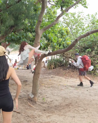 遊客來港「抱樹打卡」熱褲女闖西貢浪茄攀爬惹怒網民 觸犯1法例恐罰2.5萬兼坐監