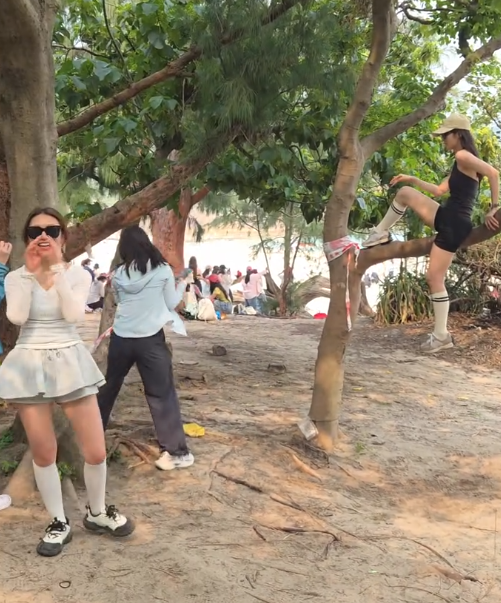 遊客來港「抱樹打卡」熱褲女闖西貢浪茄攀爬惹怒網民 觸犯1法例恐罰2.5萬兼坐監