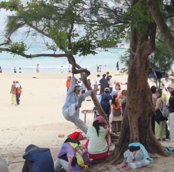 遊客來港「抱樹打卡」熱褲女闖西貢浪茄攀爬惹怒網民 觸犯1法例恐罰2.5萬兼坐監