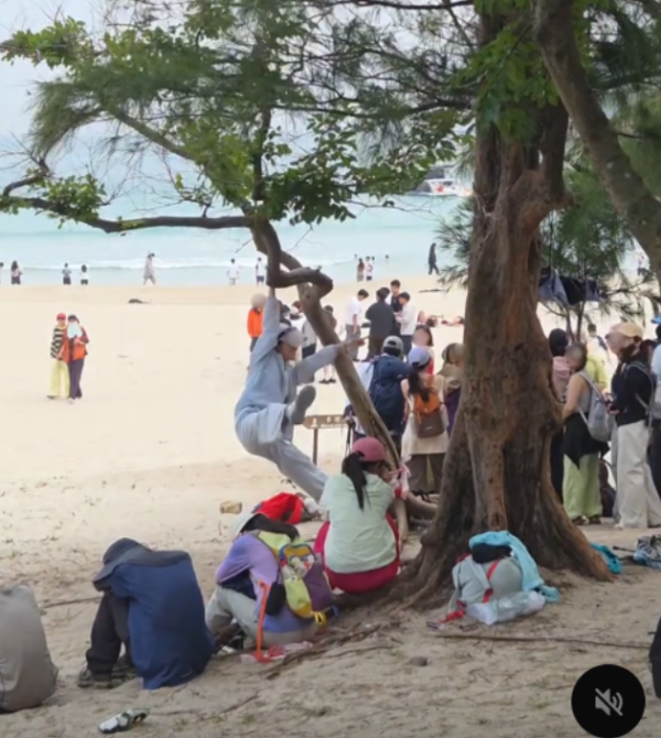 遊客來港「抱樹打卡」熱褲女闖西貢浪茄攀爬惹怒網民 觸犯1法例恐罰2.5萬兼坐監