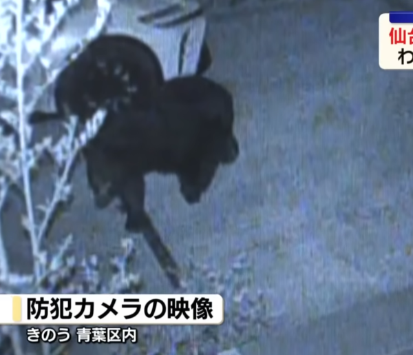 照片來源：YouTube@NTV新聞