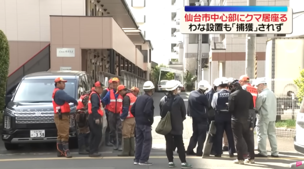 照片來源：YouTube@NTV新聞