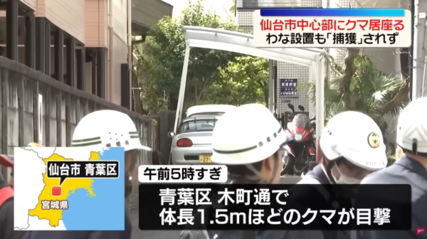 照片來源：YouTube@NTV新聞