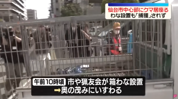 照片來源：YouTube@NTV新聞