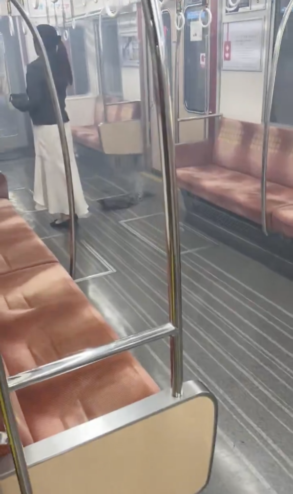 Threads: @Carouselambra8