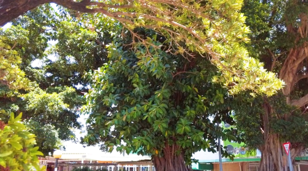 華富邨清拆細節出爐！房委會派近10萬津貼 居民獲2大特權優先買樓