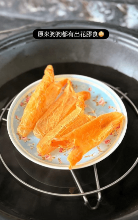 前港姐冠軍成碟花膠餵愛犬食惹熱議 超級富養極盡奢華！網民：隻狗過得好過我