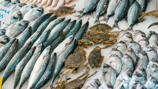 北上食生醃/即撈海鮮小心「偷死病毒」！內媒揭跨物種傳人 潛伏期達半年 感染恐致盲！附保命3招