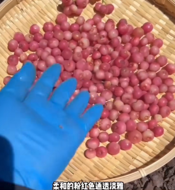 照片來源：小紅書@花生鱼卷