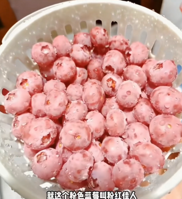 照片來源：小紅書@花生鱼卷