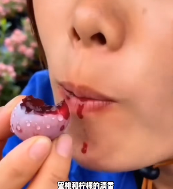 照片來源：小紅書@花生鱼卷