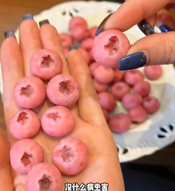 照片來源：小紅書@花生鱼卷