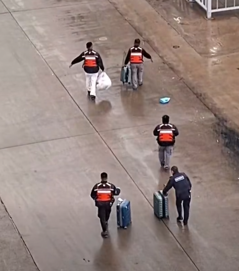 圖片來源：FB @探索星號遊輪會員分享區