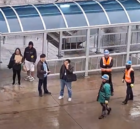 圖片來源：FB @探索星號遊輪會員分享區