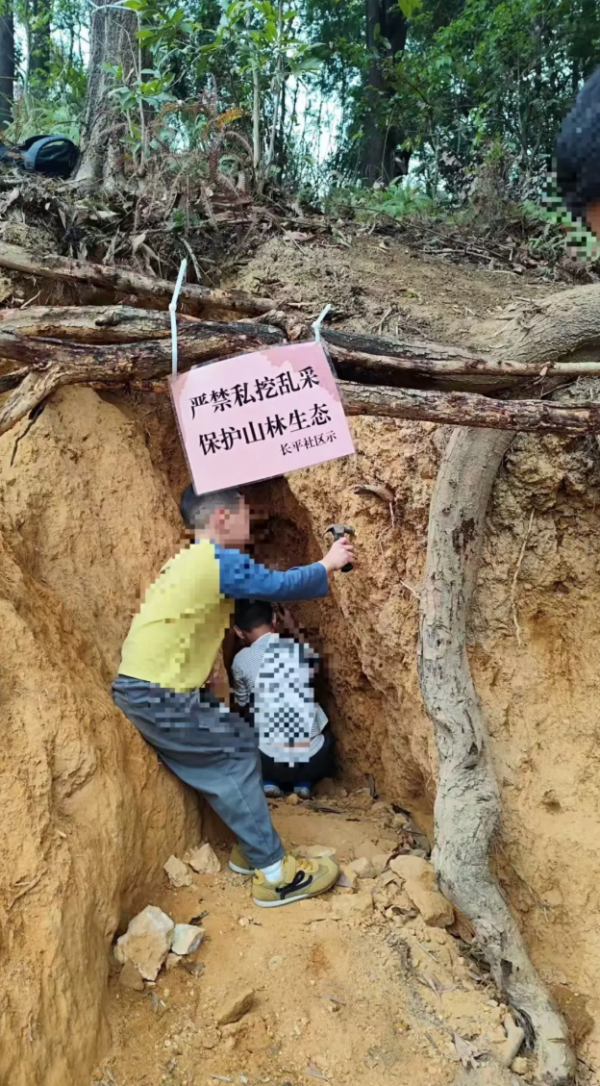 照片來源：小紅書@雷风_广州亲子徒步团