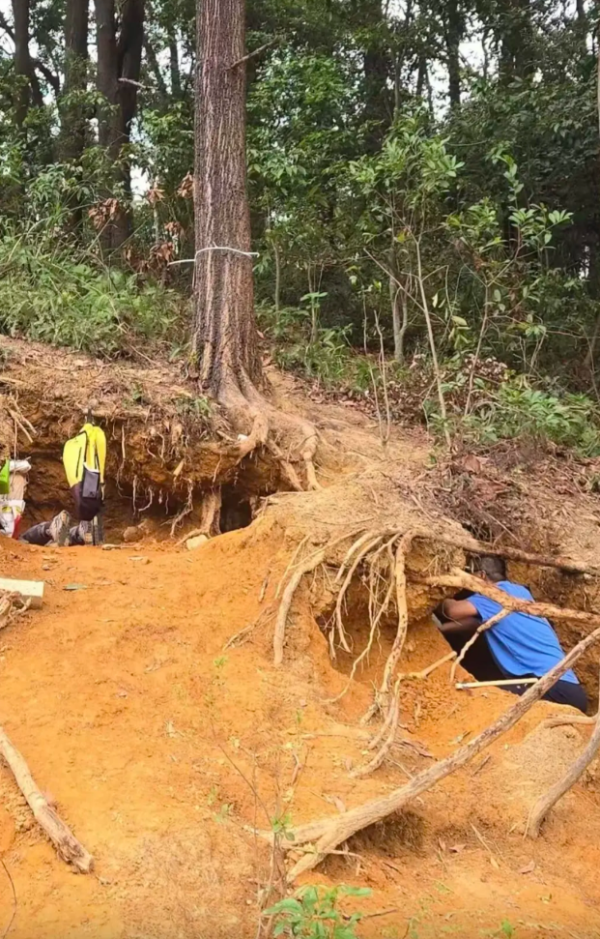 照片來源：小紅書@雷风_广州亲子徒步团