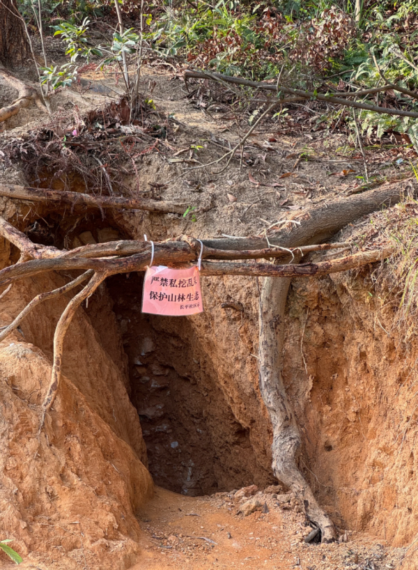 照片來源：小紅書@养花老婆婆yuanw