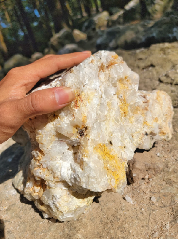 照片來源：小紅書@喵喵西里