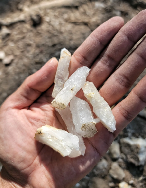 照片來源：小紅書@喵喵西里