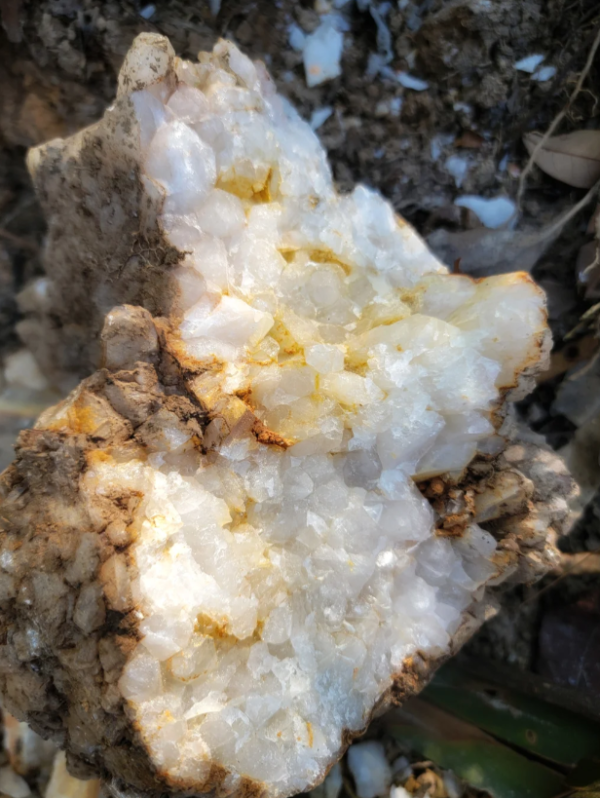 照片來源：小紅書@喵喵西里