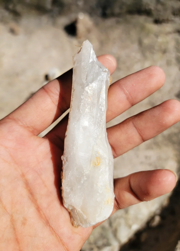 照片來源：小紅書@喵喵西里