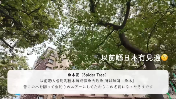 吳業坤老婆嫁來港4年突然想返日本！一原因難忍思鄉情緒：好想返日本