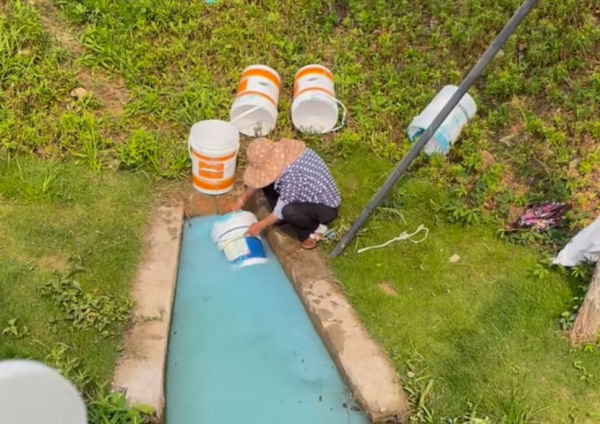 深圳新公園慘變藍色湖！大媽「為環保」毀掉清澈美景 官方：水質仍達標 