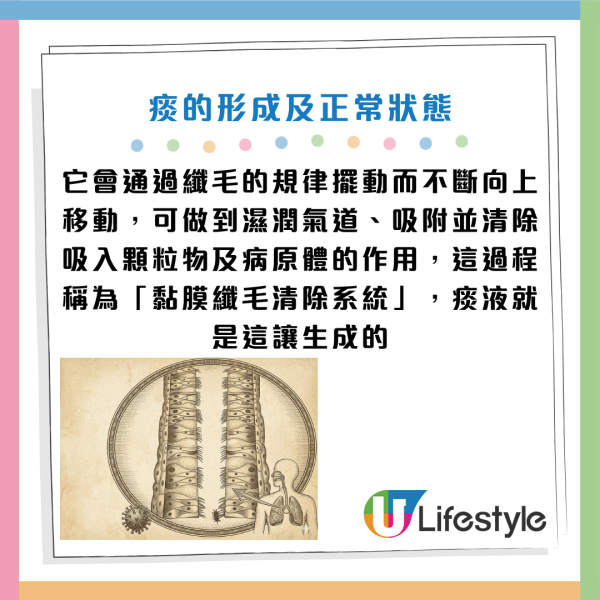 圖片資料來源：《生命時報》、Gemini AI