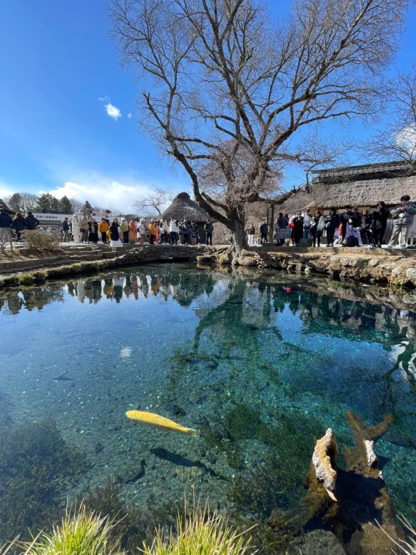 Threads網友力數九大遊日最後悔去景點 藏王狐狸村氣味臭員工態度差？ 