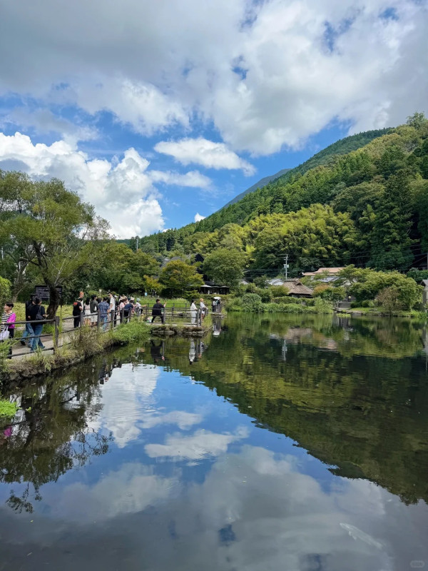 Threads網友力數九大遊日最後悔去景點 藏王狐狸村氣味臭員工態度差？ 