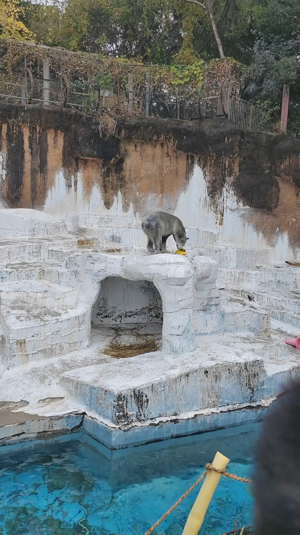 Threads網友力數九大遊日最後悔去景點 藏王狐狸村氣味臭員工態度差？ 