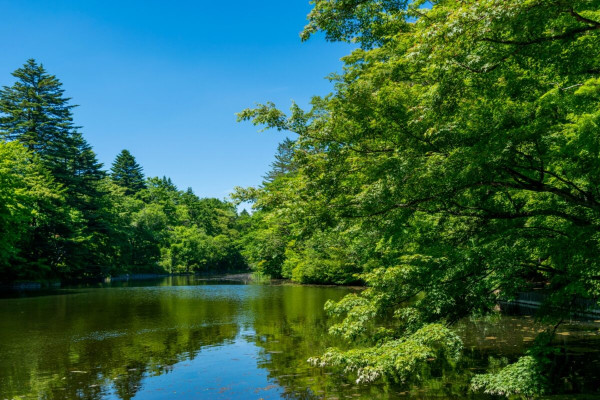 Threads網友力數九大遊日最後悔去景點 藏王狐狸村氣味臭員工態度差？ 