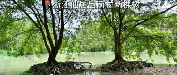 照片來源：小紅書@青岛旅行玩家