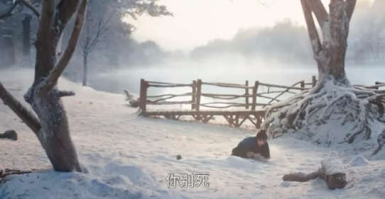 照片來源：小紅書@呆萌G稚妍