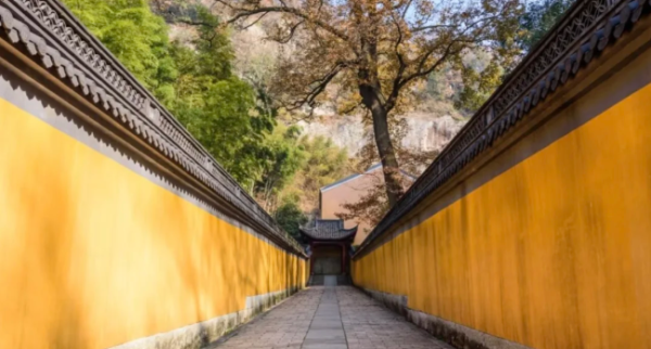 照片來源：小紅書@呆萌G稚妍