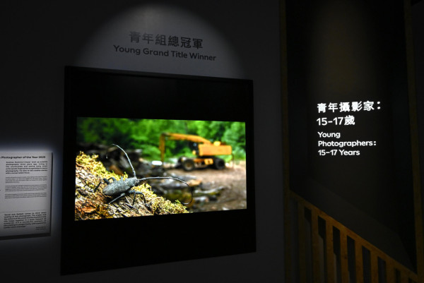 科學館《Inside Out》記憶球爆紅！限時發光 附穿梭機打卡時間表