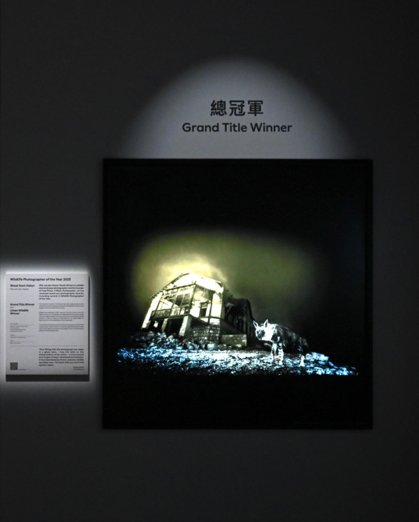 科學館《Inside Out》記憶球爆紅！限時發光 附穿梭機打卡時間表