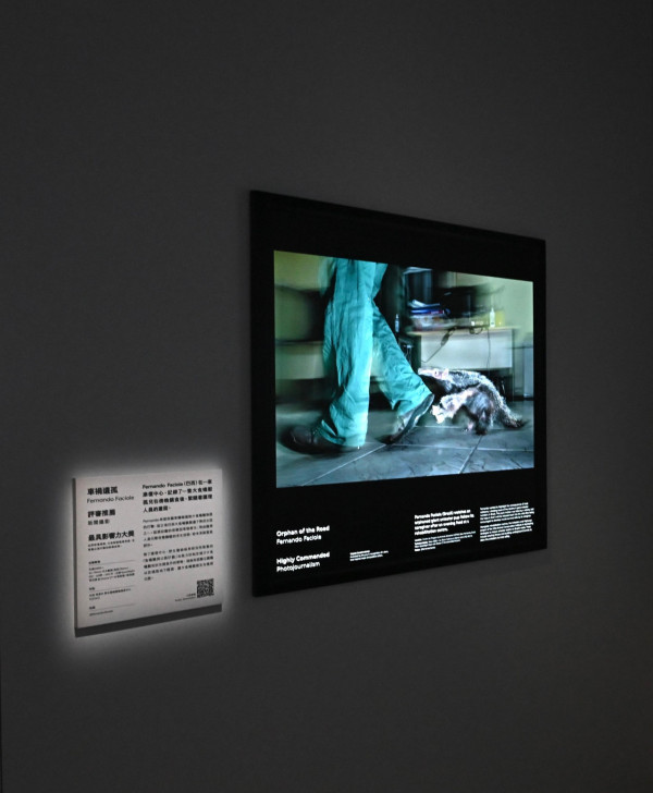 科學館《Inside Out》記憶球爆紅！限時發光 附穿梭機打卡時間表