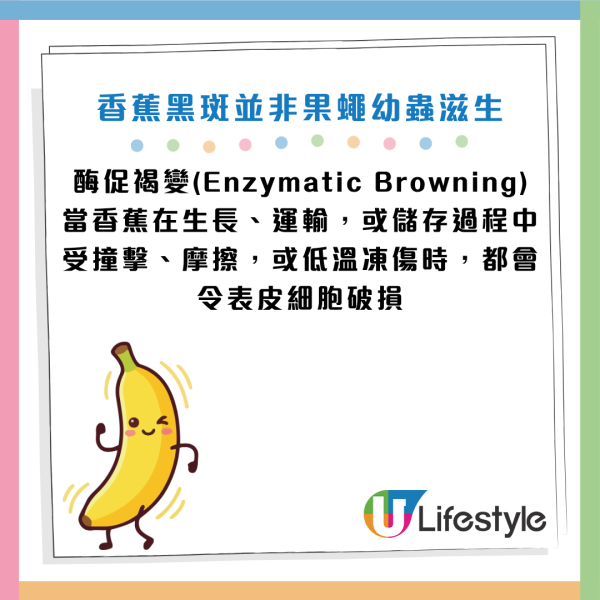 圖片資料來源：《中國食品報融媒體》